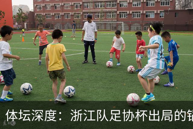 体坛深度：浙江队足协杯出局的锅 该不该由国家队来背