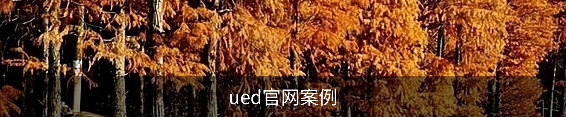 ued官网案例